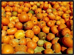Pomarańczowe, Dynie